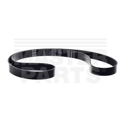 CORREIA POLI V (8PK1780)