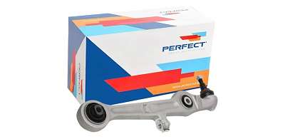 BRAÇO DIANTEIRO RETO LD/ LE COMPLETO