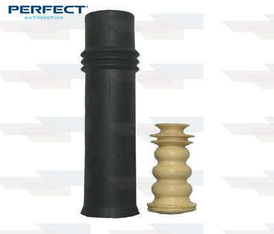 KIT DE AMORTECEDOR TRASEIRO