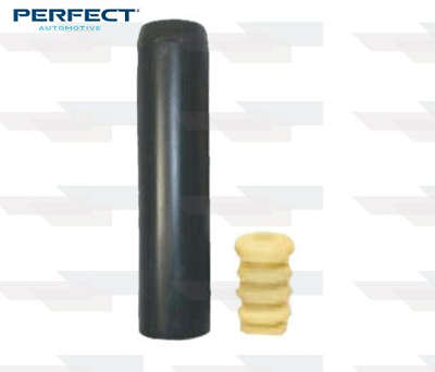 KIT DE AMORTECEDOR TRASEIRO