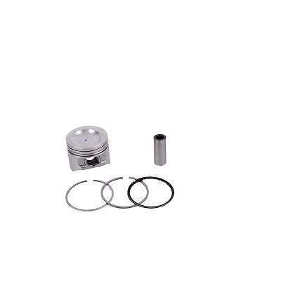 Conjunto Motor PA (Pistão + Anel)