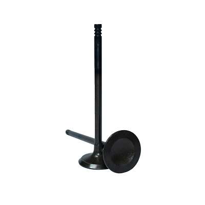 Válvula de Admissão