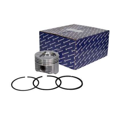 Conjunto Motor PA (Pistão + Anel)