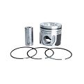 Conjunto Motor PA (Pistão + Anel)