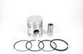 Conjunto Motor PA (Pistão + Anel)