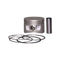 Conjunto Motor PA (Pistão + Anel)