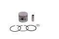 Conjunto Motor PA (Pistão + Anel)