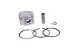Conjunto Motor PA (Pistão + Anel)