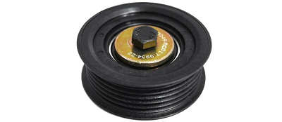 POLIA CORREIA POLY-V